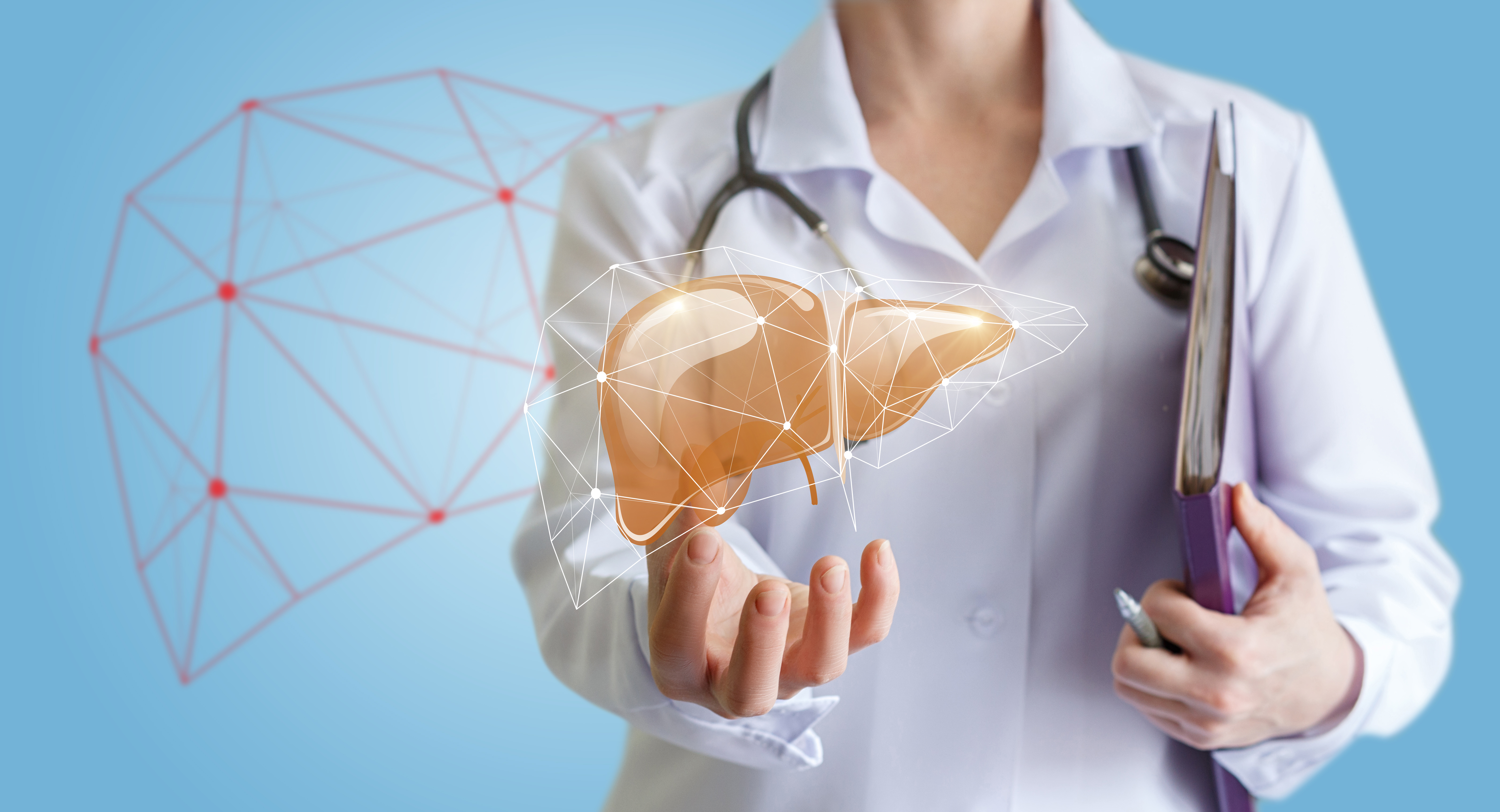 Hogyan működik a májdiéta?</br>Mit érdemes tudni róla? 