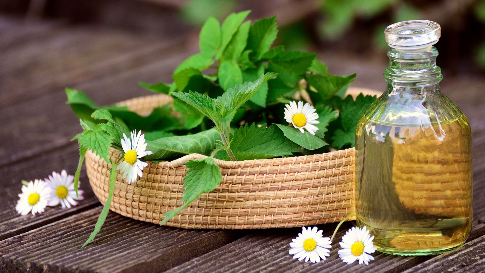 Természetes epesavakkal és gyógynövényekkel a betegségek ellen